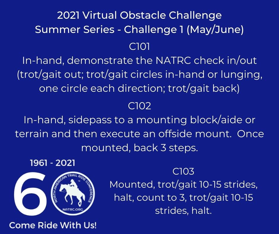 2021 Virtual Obstacle Challenge Summer Series - Challenge 1 (MayJune)