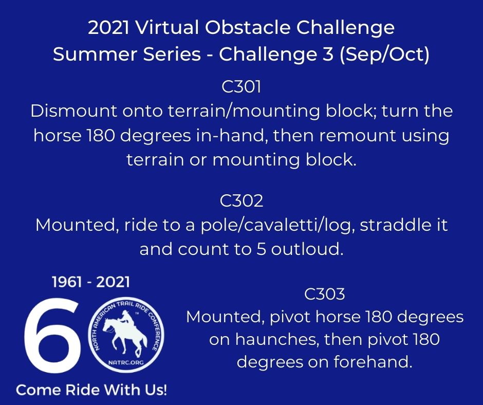 2021 Virtual Obstacle Challenge Summer Series - Challenge 3 (SepOct)