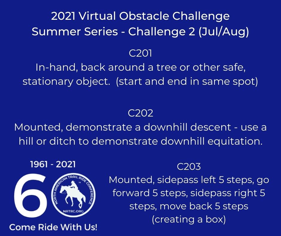 2021 Virtual Obstacle Challenge Summer Series - Challenge 2 (Jul_Aug)